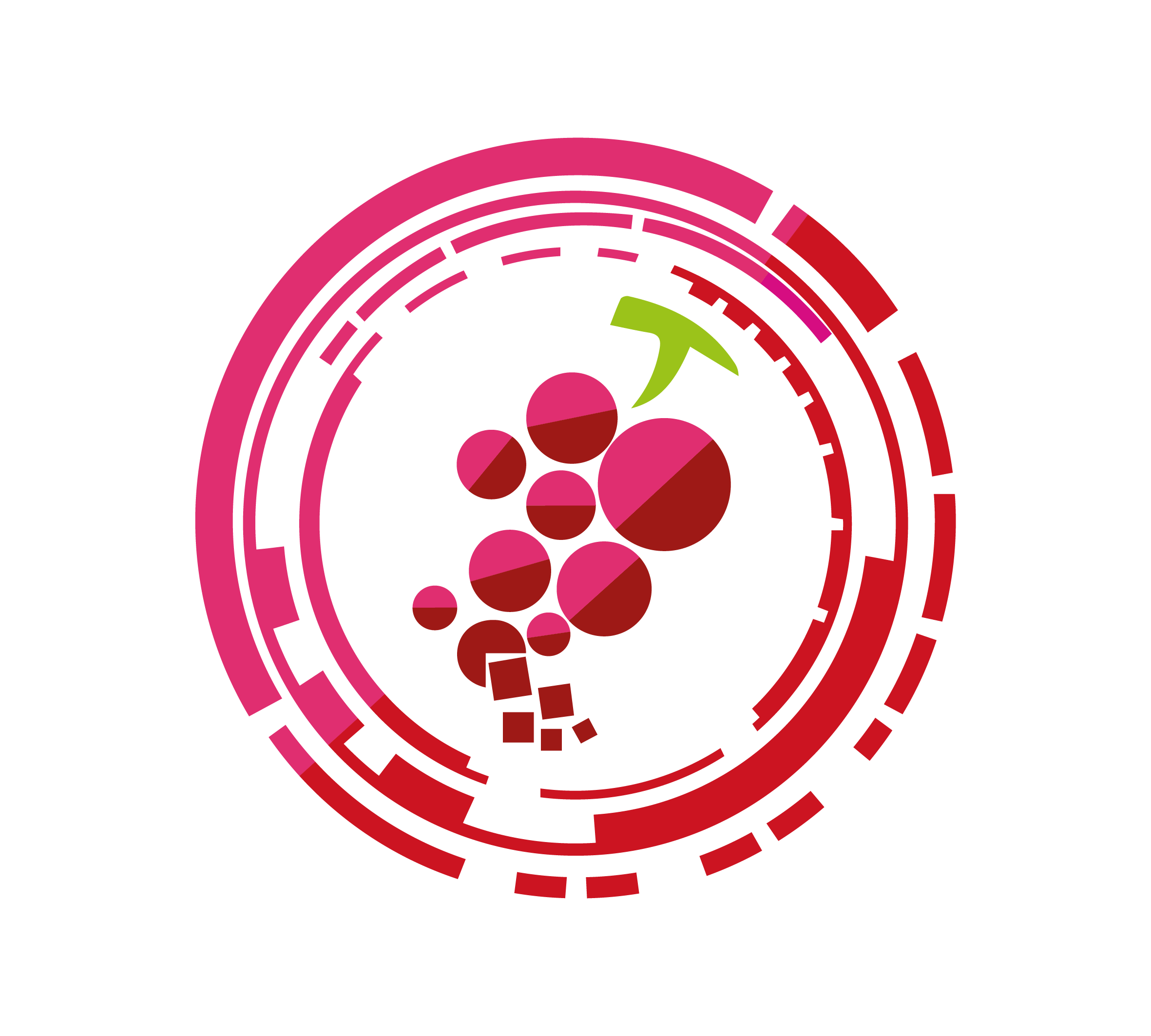 LawineTech